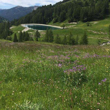 Studio Montagne Allos Zewnętrze zdjęcie