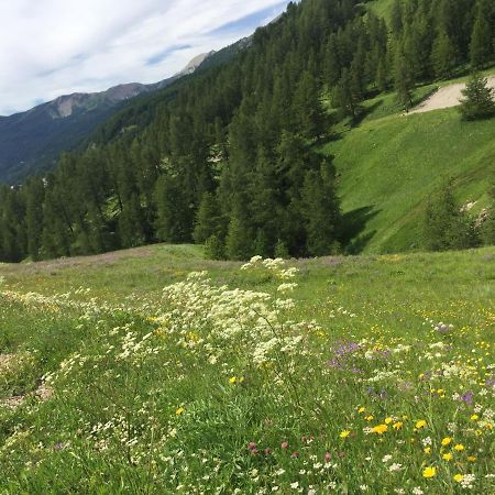 Studio Montagne Allos Zewnętrze zdjęcie