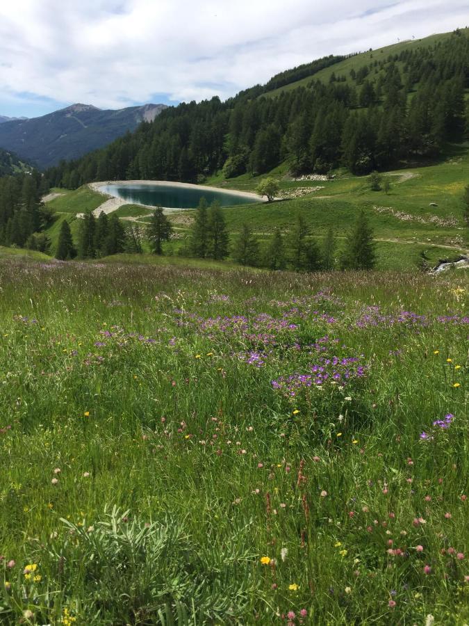 Studio Montagne Allos Zewnętrze zdjęcie
