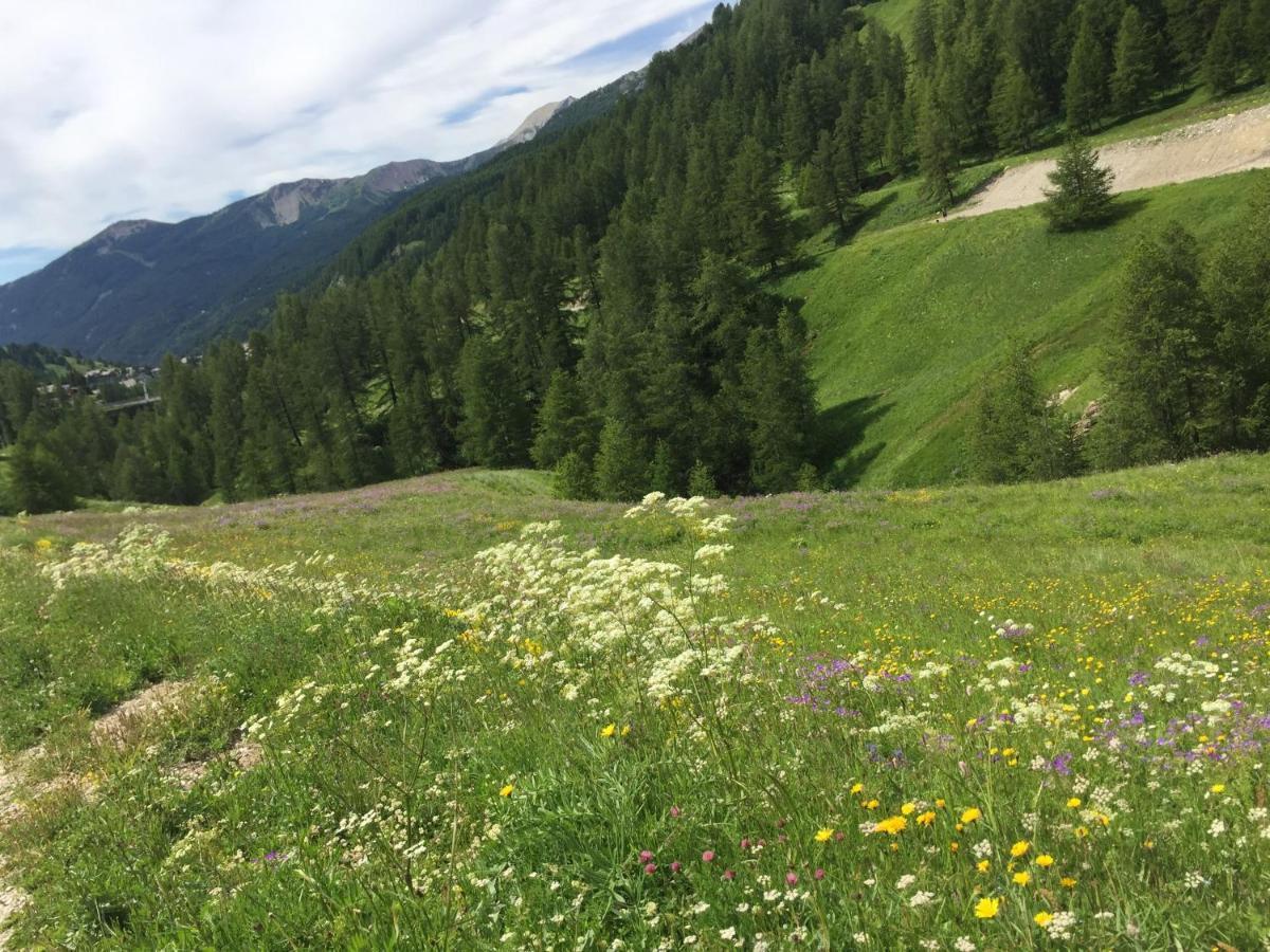 Studio Montagne Allos Zewnętrze zdjęcie